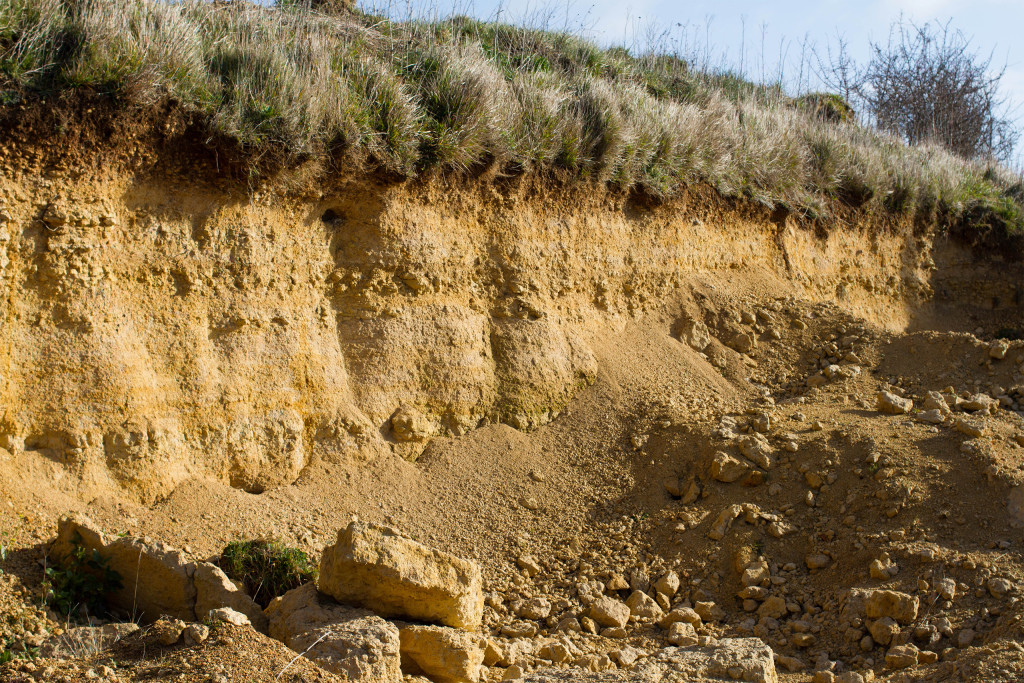 Une veine calcaire ouverte en sablière locale, dans l'Orne.